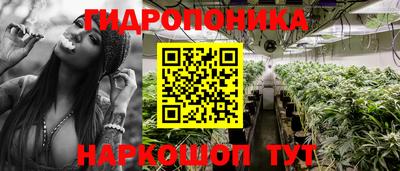 мдпв Беслан
