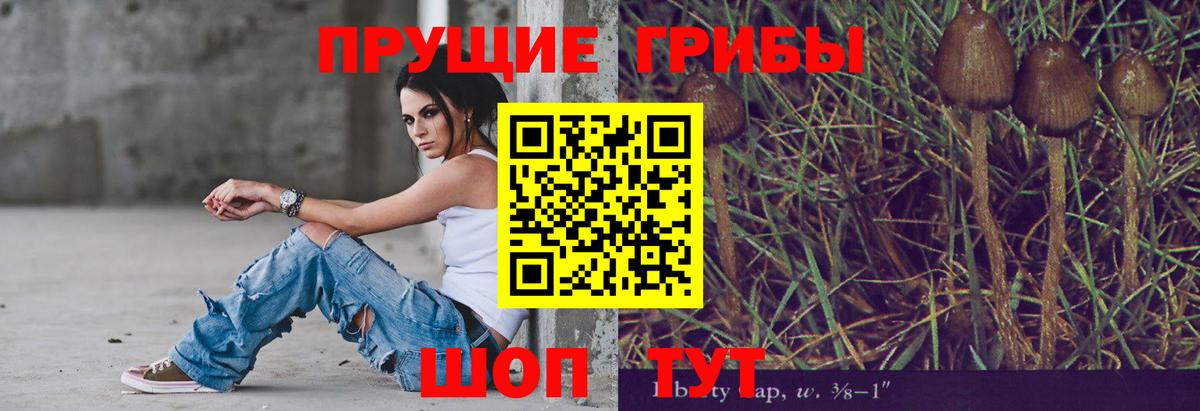 Псилоцибиновые грибы MAGIC MUSHROOMS  Вход с VPN  Галлюциногенные грибы Magic Shrooms  Киров 
